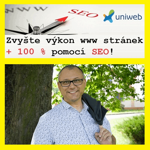 SEO konzultant