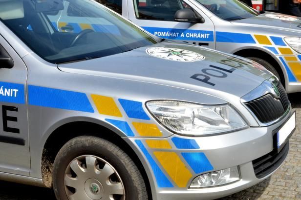 obrázek: Pomozte v pátrání po hledané dívce