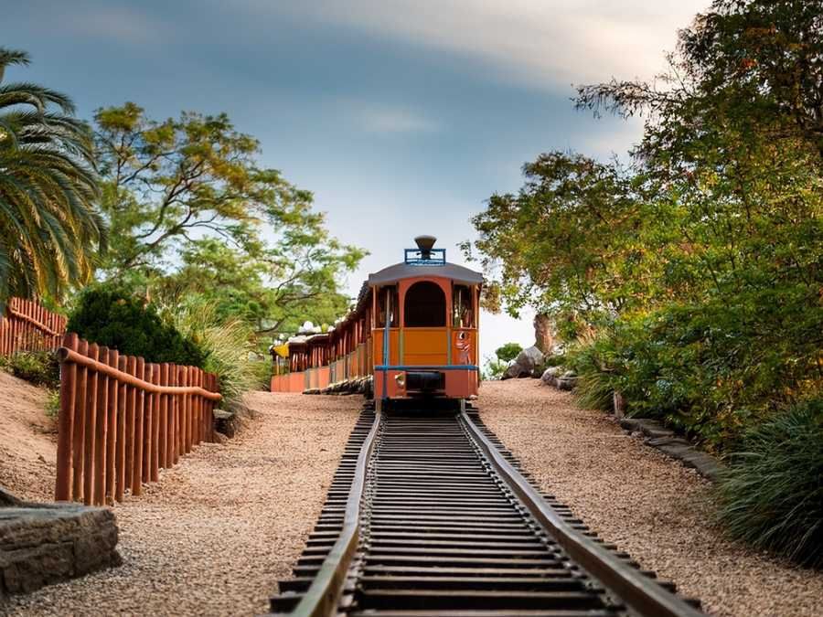 Nový turistický vláček zvýší atraktivitu Zoo Ústí nad Labem