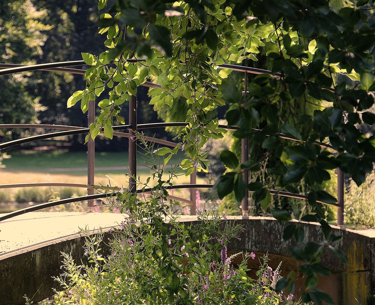 Kácení dřevin odstartovalo rekonstrukci Benešova mostu