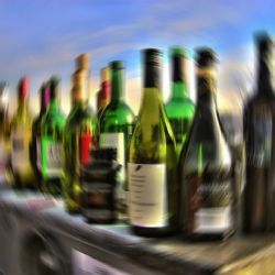 Vykopl dveře a putoval na záchytku