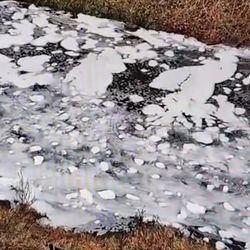 Enaspol podezřelý ze zpěnění Bíliny