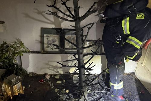 obrázek:Prskavky zapálily stromek, hasiči zasahovali 28×