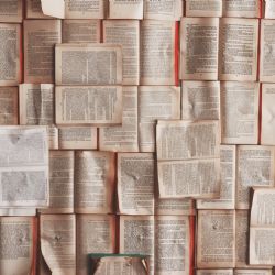 V knihovně UJEP proběhne česko-německé autorské čtení literatury, která “překračuje hranice”