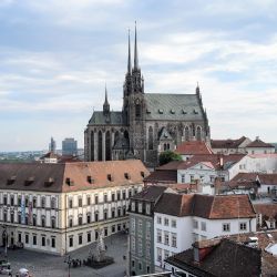 Brno bude figurovat v zahraničním projektu připomínající odkaz Gregora Johanna Mendela. Bude se obnovovat i skleník
